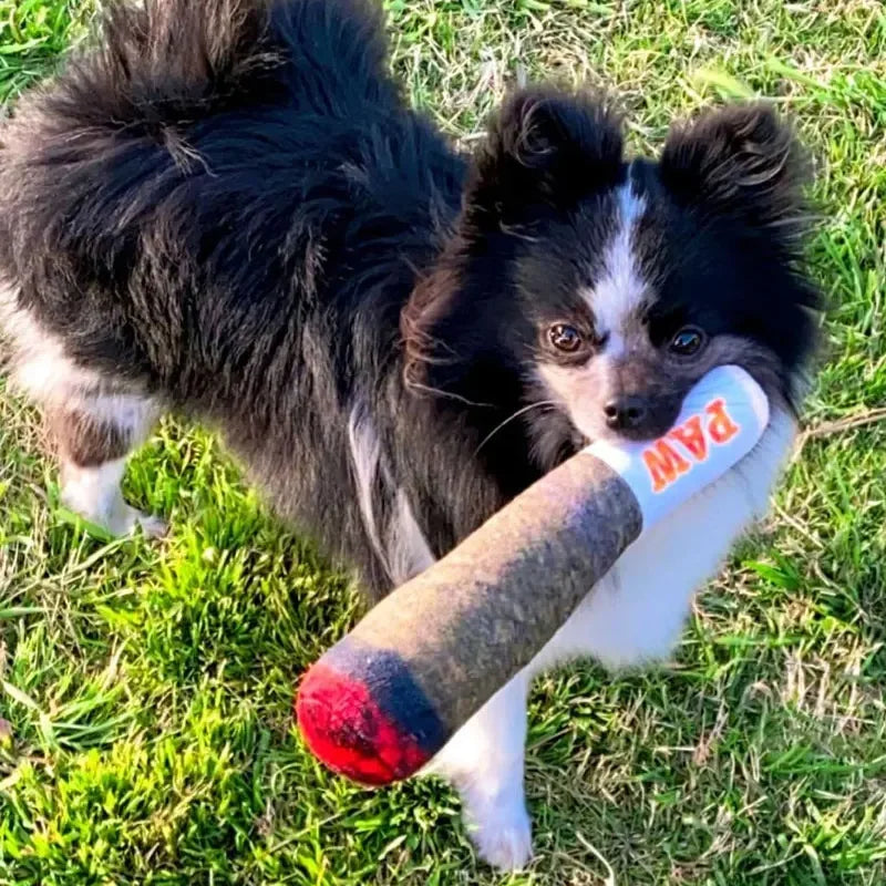 PuffPal Novelty Squeaky Dog Toy