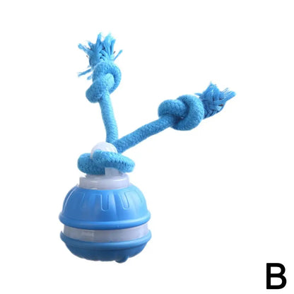 Smart Interactive Rechargeable Dog Ball – Automatic Motion Training Toy