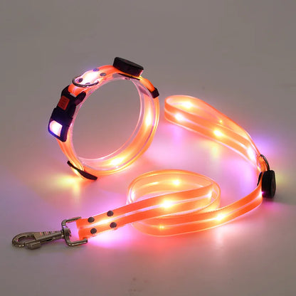 GlowWalk LED Dog Collar & Leash Set | USB Rechargeable Light-Up Walking Lead