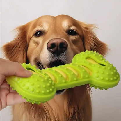 Squeaky Rubber Bone Chew Toy