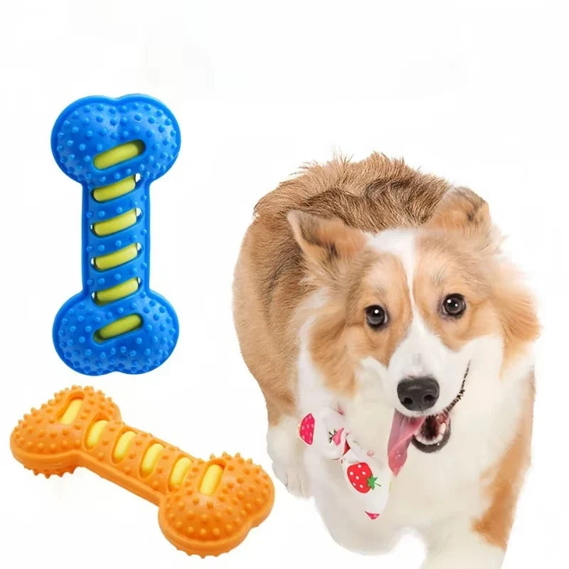 Squeaky Rubber Bone Chew Toy
