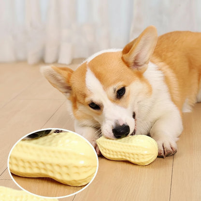 Peanut Squeaky Dog Chew Toy
