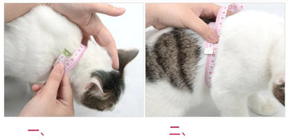 Rabbit & Cat Harness and Leash Set