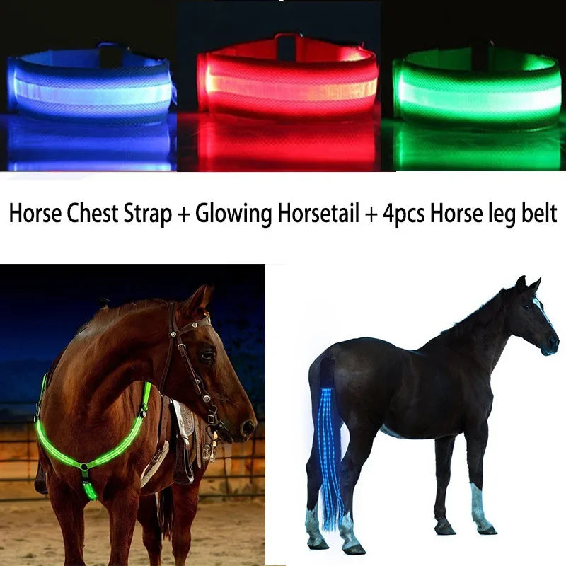 NightRider LED Horse Light Set