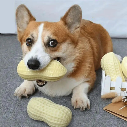 Peanut Squeaky Dog Chew Toy