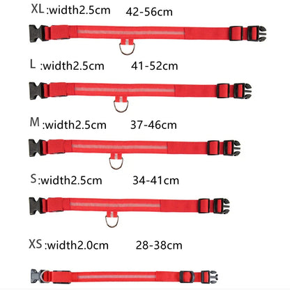 LED Luminous Dog Collar – USB Rechargeable & Detachable Night Safety Collar for Pets