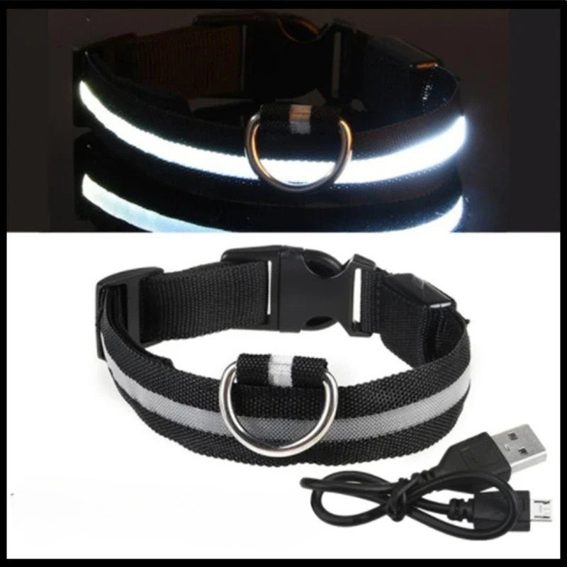 LED Luminous Dog Collar – USB Rechargeable & Detachable Night Safety Collar for Pets