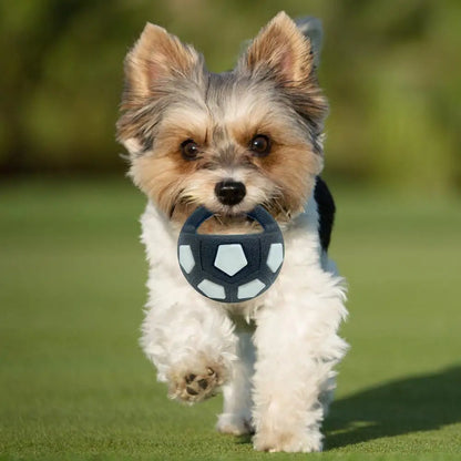 CalmPlay Interactive Treat Dispensing Dog Ball