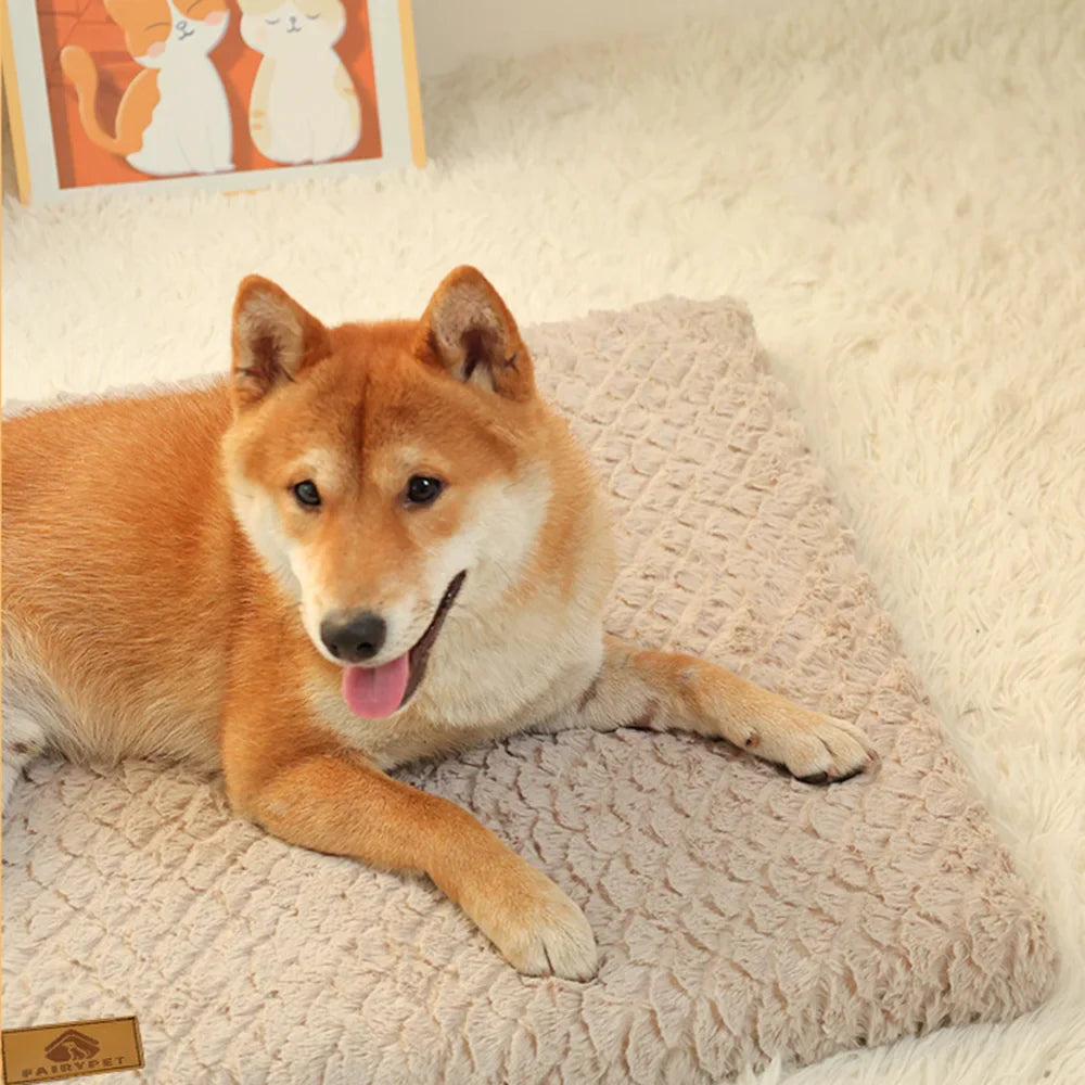 Memory Foam Pet Bed with Removable Cover - Orthopedic Waterproof Dog Bed