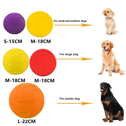 Dog Flying Disc