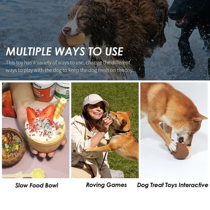 AcornBite – Interactive Treat Puzzle 🐶🌰