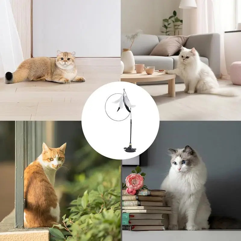 Interactive Self Play Suction Cup Cat Toy