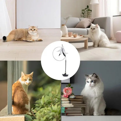 Interactive Self Play Suction Cup Cat Toy
