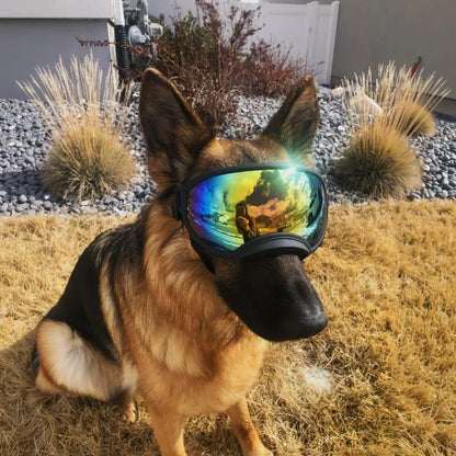 PawShield Dog Goggles UV Protection Sunglasses