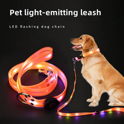 GlowWalk LED Dog Collar & Leash Set | USB Rechargeable Light-Up Walking Lead