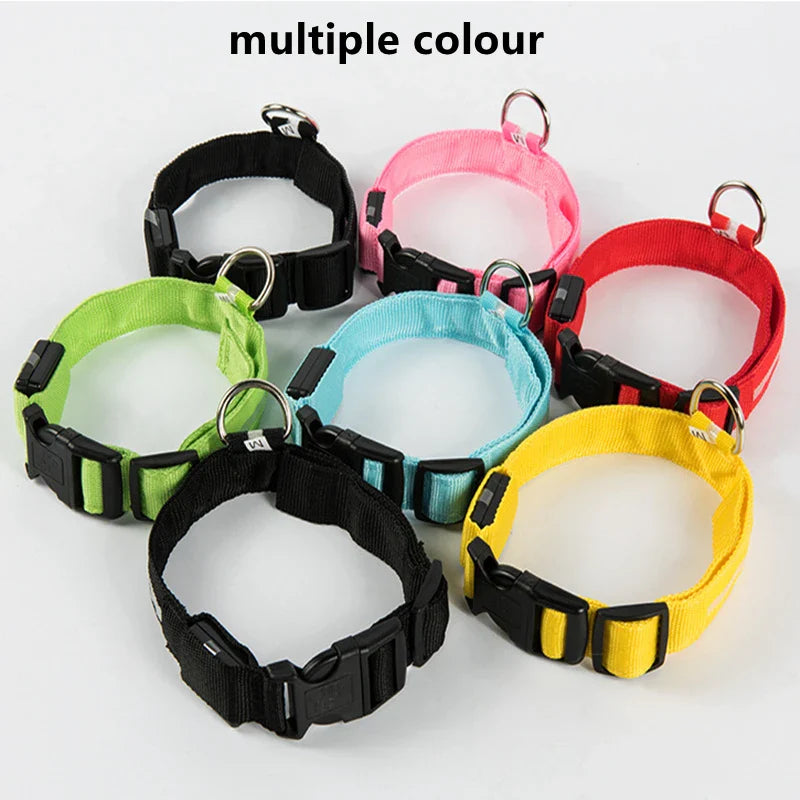 LED Luminous Dog Collar – USB Rechargeable & Detachable Night Safety Collar for Pets