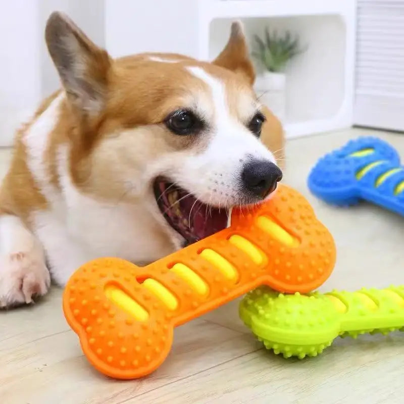 Squeaky Rubber Bone Chew Toy